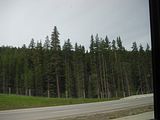 17 - Bow Lake  - IMGA0037